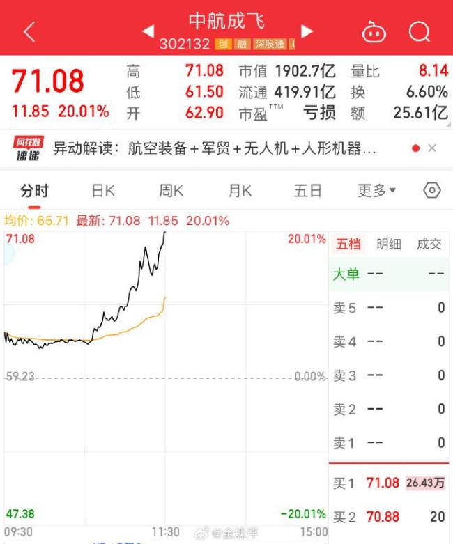 印度国产“光辉”战机实力几何 因太菜逃过一劫