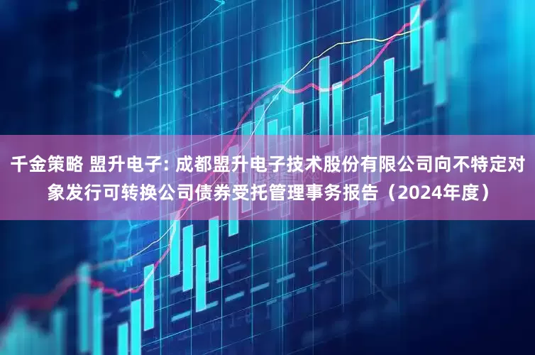 千金策略 盟升电子: 成都盟升电子技术股份有限公司向不特定对象发行可转换公司债券受托管理事务报告（2024年度）