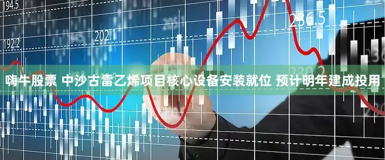 嗨牛股票 中沙古雷乙烯项目核心设备安装就位 预计明年建成投用