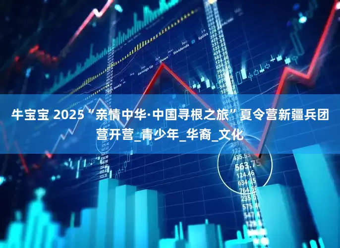 牛宝宝 2025“亲情中华·中国寻根之旅”夏令营新疆兵团营开营_青少年_华裔_文化