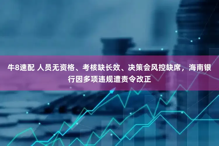 牛8速配 人员无资格、考核缺长效、决策会风控缺席，海南银行因多项违规遭责令改正